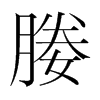 媵的韓國(guó)明朝體