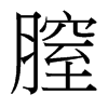 膣的臺灣細明體