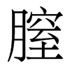 膣的香港明體